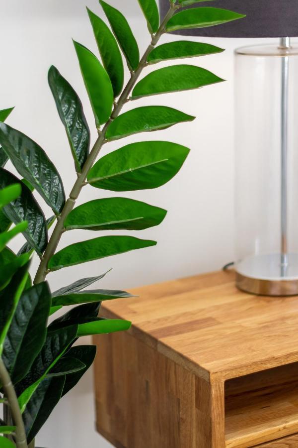 Apartment Modern 2 Bed, Hagley Park, Riverside Market Christchurch